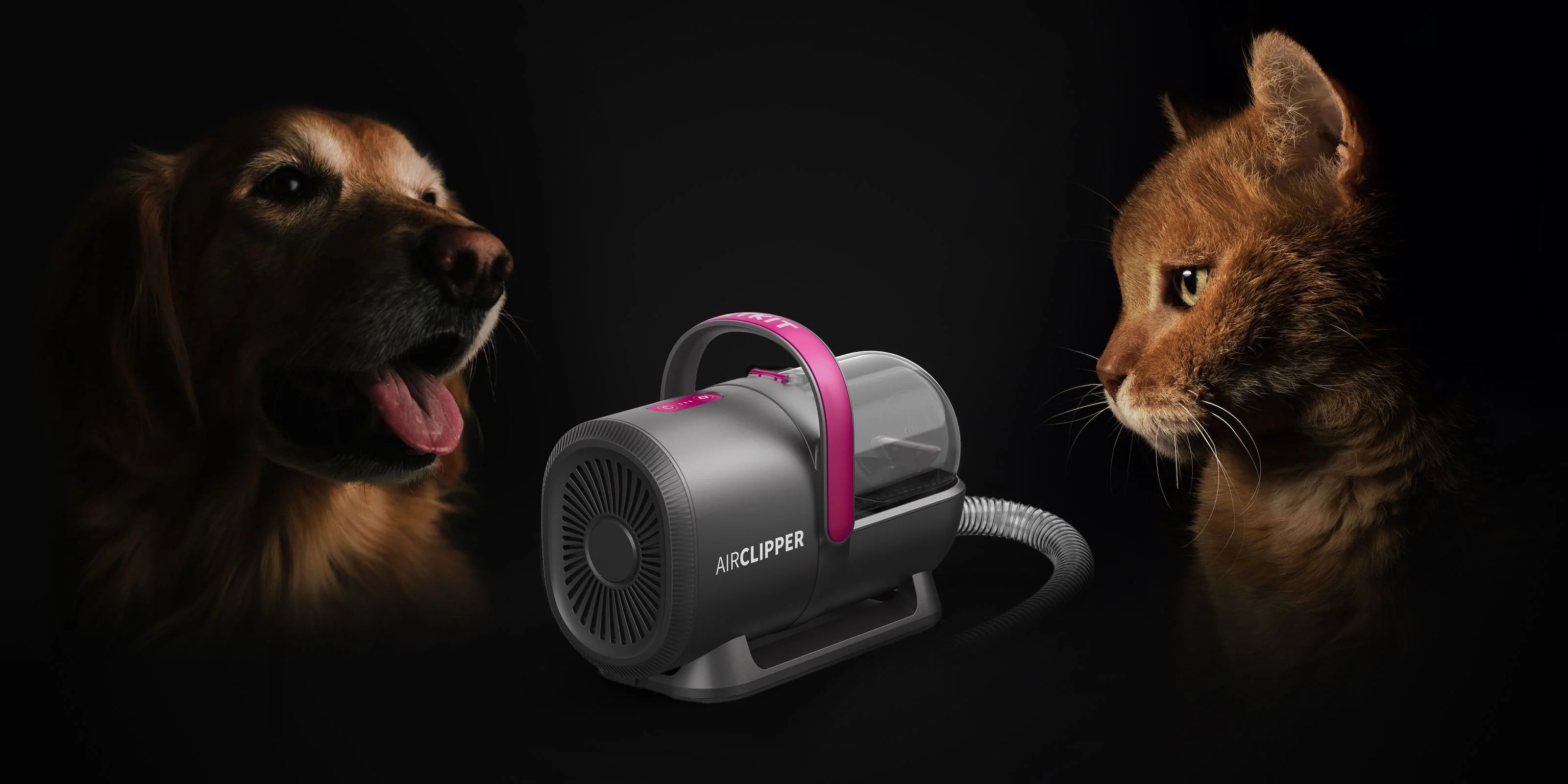 hond en kat links en rechts van een petkit airclipper