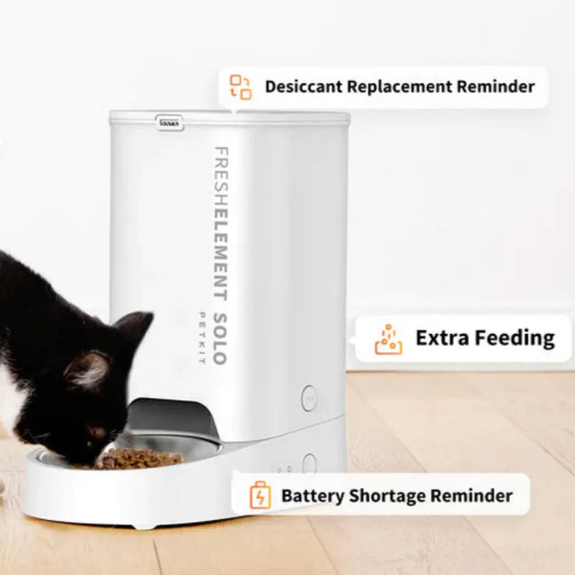 kat eet uit petkit fresh element een automatische voerbak voor katten