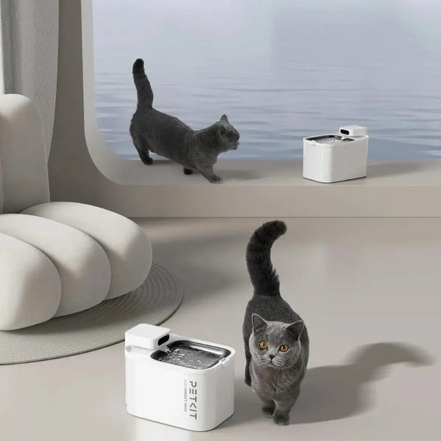 twee katten die rondlopen rond om een drinkfonteintje genaamd petkit eversweet max