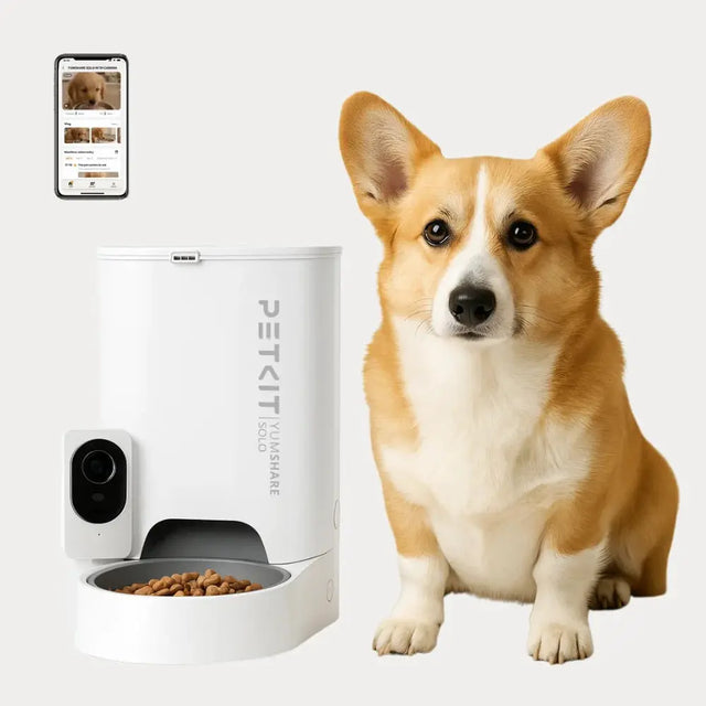 hond naast een petkit voerautomat yumshare solo
