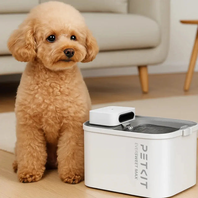 hond zit naast een petkit drinkfontein eversweet max 3liter inhoud