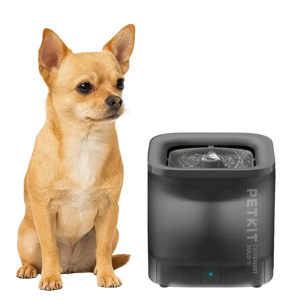 hond zit naast een petkit eversweet solo se