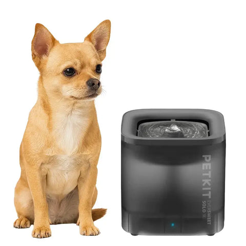 hond zit naast een petkit eversweet solo se