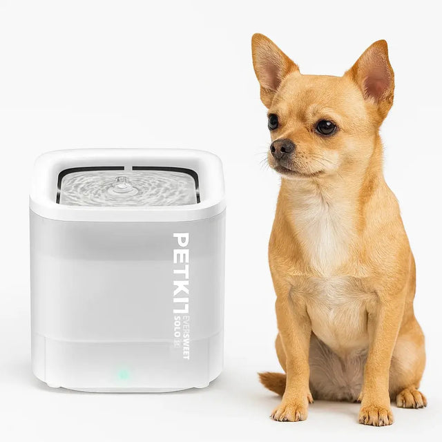 kleine hond zit naast een petkit drinkfontein eversweet solo se