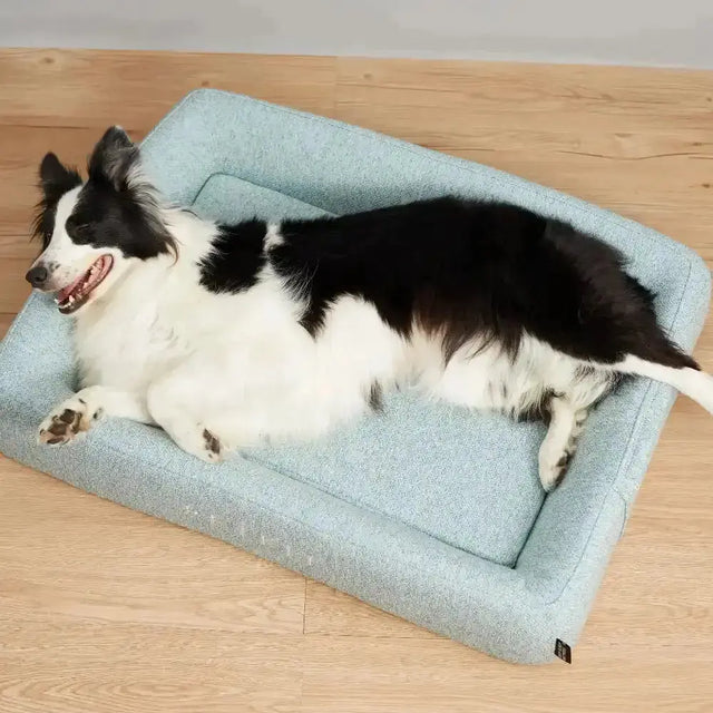 Hond in PETKIT Vierseizoenen Slaapbed