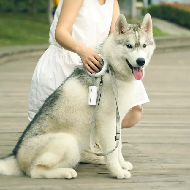 hond te zien met een riem en daaraan een PETKIT Honden poepzakjes container / dispenser