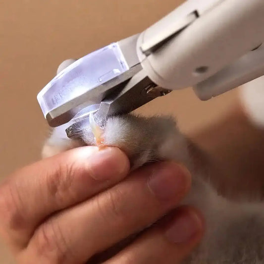 Huisdier nagelknipper met LED-licht voor veilig knippen van katten- en hondennagels.