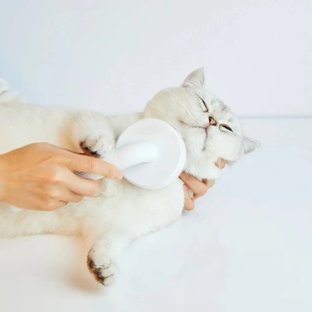 PETKIT Verzorgingsborstel honden en katten Mijn winkel