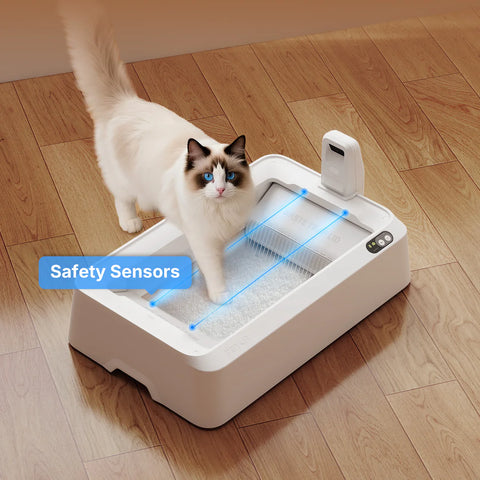 PETKIT Purobot zelfreinigende kattenbak Open Model Crystal Duo met Camera