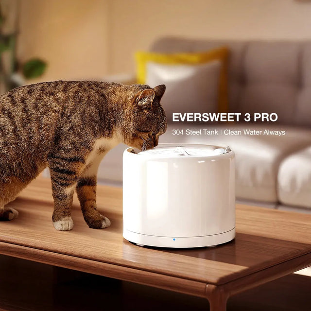 kat drinkt uit eversweet pro 3 petkit drinkfontein