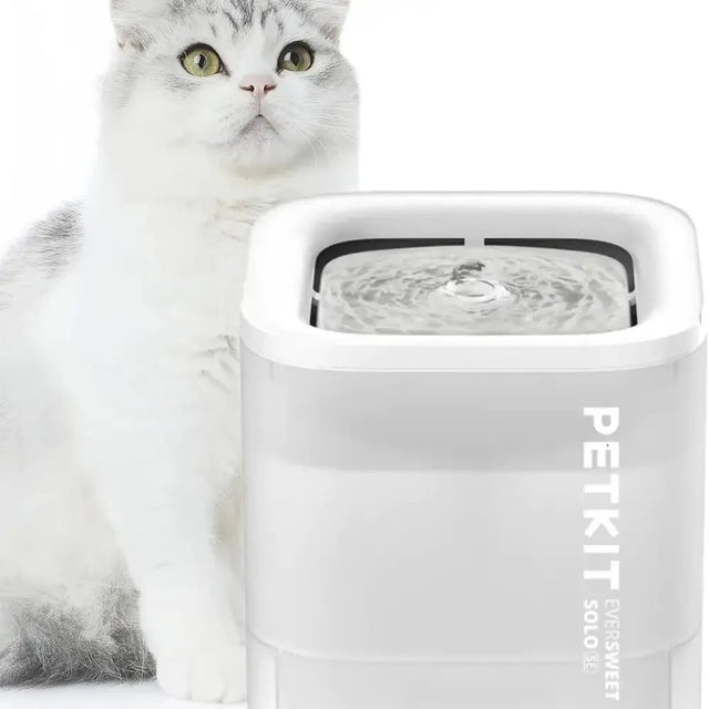 eversweet solo white cat fountain