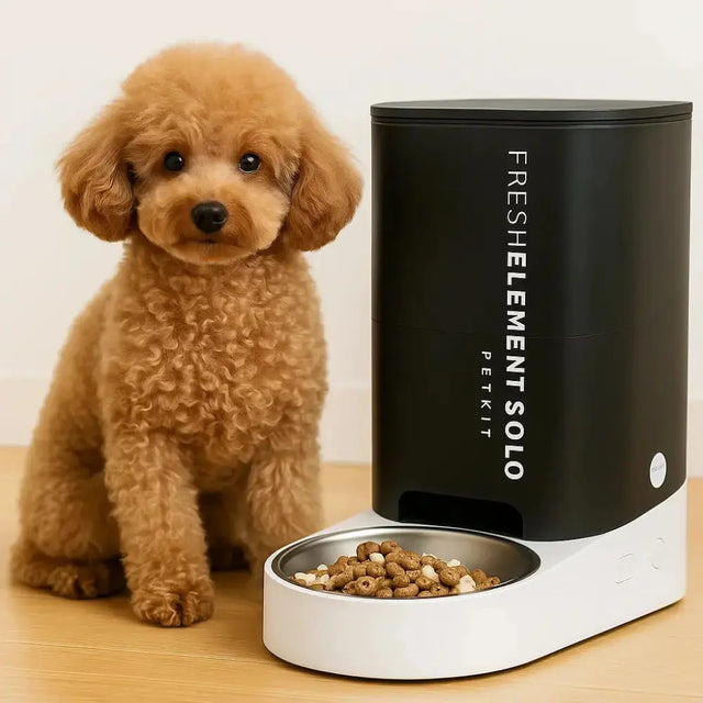 hondje naast een petkit voerautomaat fresh element solo