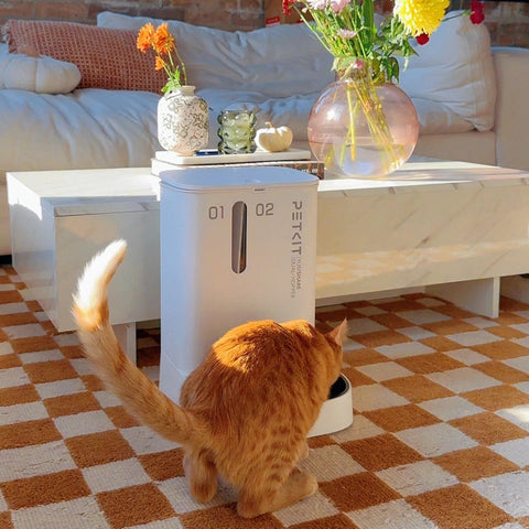 kat bij een petkit yumshare dual