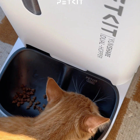 petkit yumshare dual