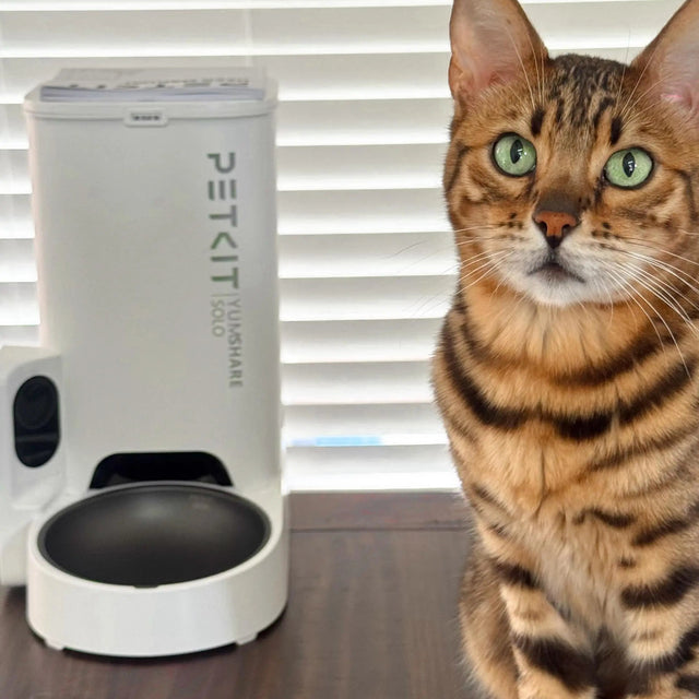 kat naast petkit yumshare solo