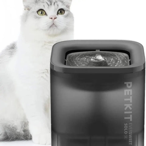 kat naast een grijze petkit eversweet solo se