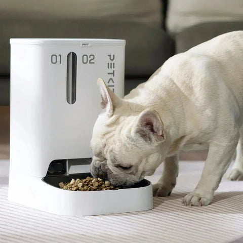 dog eating from petkit yum share dual automatische voerbak