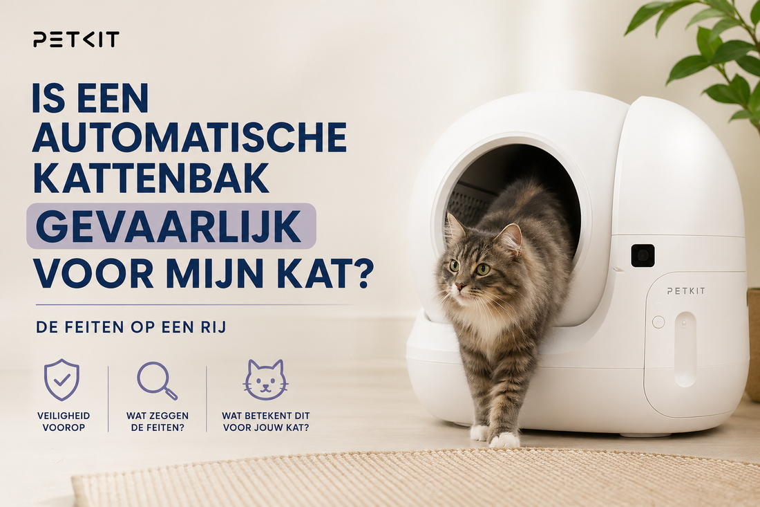 Is een automatische kattenbak gevaarlijk voor mijn kat? De feiten op een rij