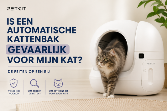 Is een automatische kattenbak gevaarlijk voor mijn kat? De feiten op een rij