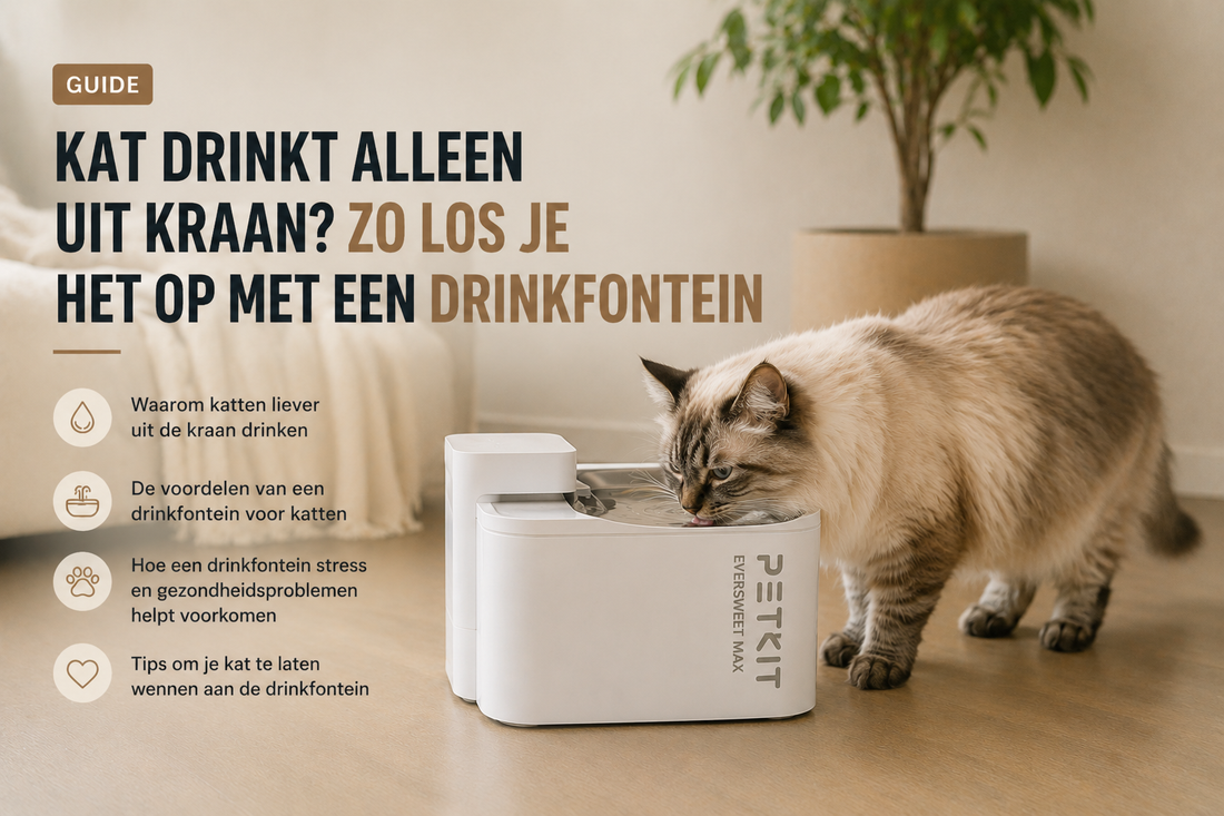 De kat die alleen uit de kraan dronk. Wat er achter dat gedrag zit..