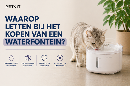 Waarop letten bij het kopen van een waterfontein?