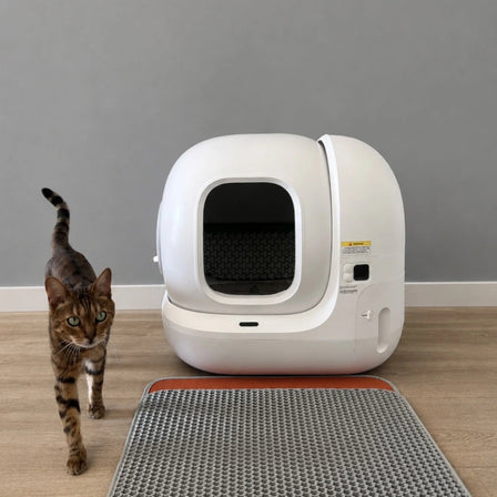 kat naast puramax 2 automatische kattenbak