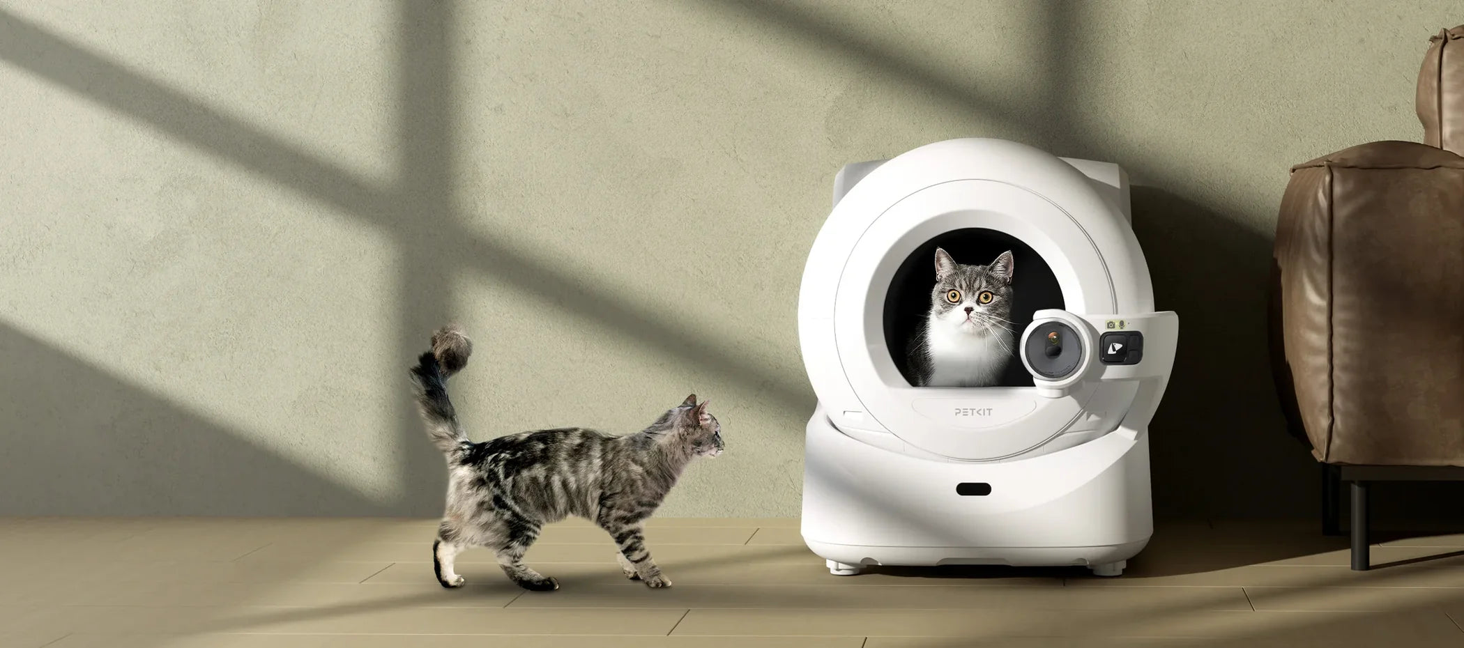 een kat loopt naar een petkit automatische kattenbak waar al een kat in zit