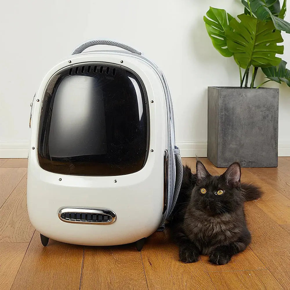 PETKIT Breezy 2 Dome Slimme Katten Draagtas met Ventilator Mijn winkel