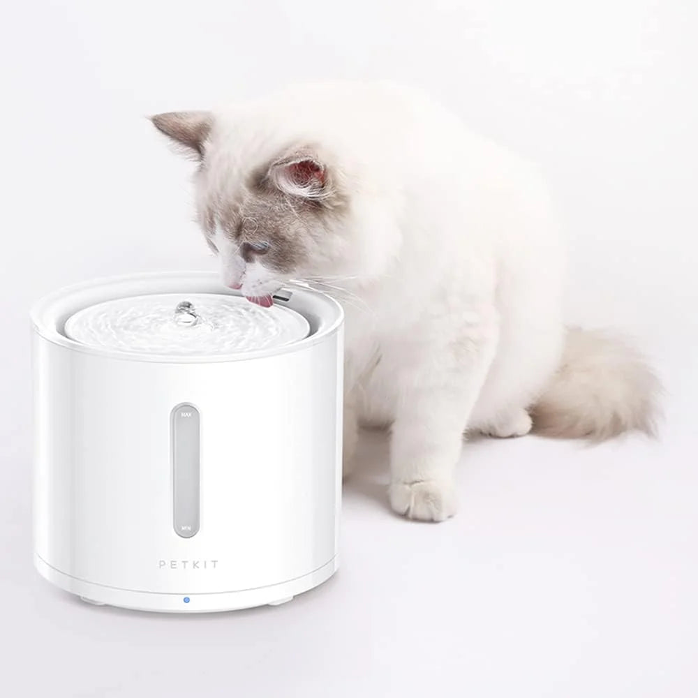 poes likt uit een petkit drinkfontein eversweet pro 3