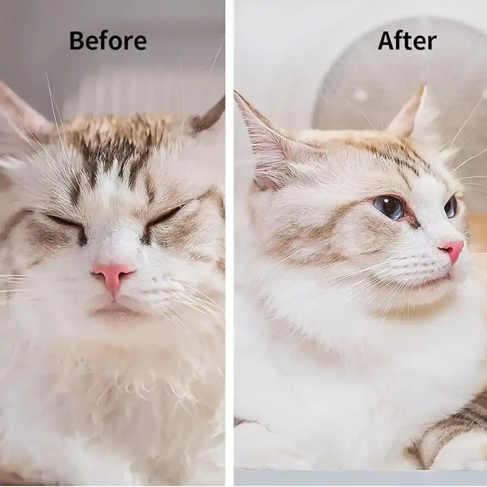 petkit katten droogsalon laat het voor en na resultaat zien. kat komt er pluisvrij uit