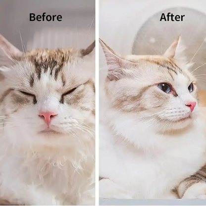 petkit katten droogsalon laat het voor en na resultaat zien. kat komt er pluisvrij uit