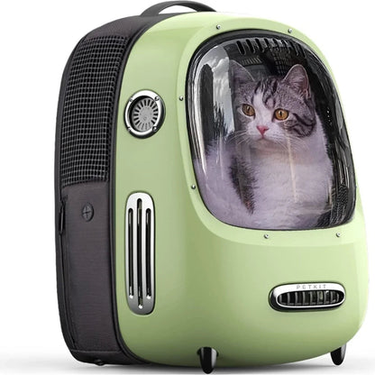 kat in groene petkit breezy reistas