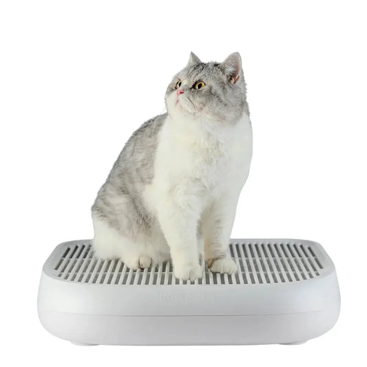 kat zit op een petkit kattenbakvulling opvangbak