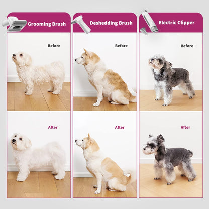 PETKIT 5-in-1 huisdieren verzorgingsset: scheren, borstelen, ontklitten, zuigen en föhnen