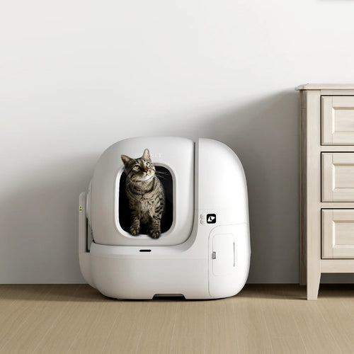 een kat in een purobot max pro kattenbak automatisch van petkit