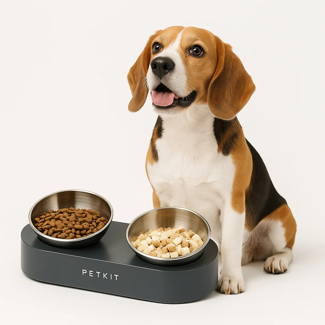 hond naast een petkit voerbak