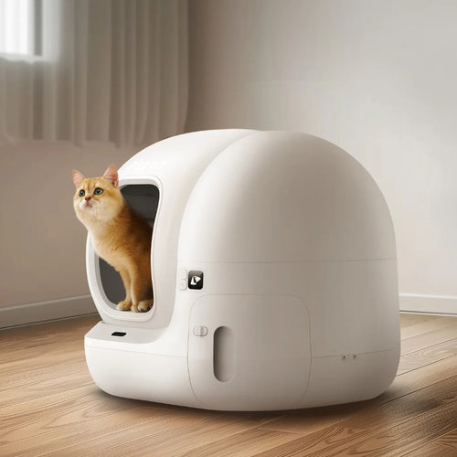 petkit pura max 2 met kat erin