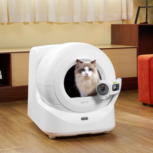 kat in een automatische kattenbak petkit purobot ultra met ai camera