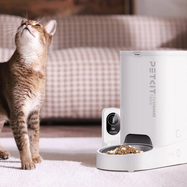 een kat naast een kattenvoerbak die automatisch is genaamd de pekti yumshare solo