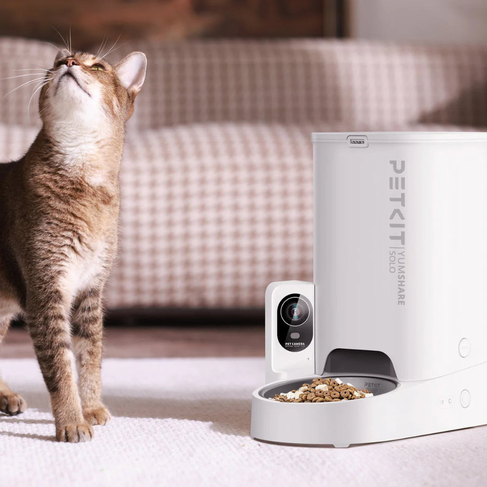 een kat naast een kattenvoerbak die automatisch is genaamd de pekti yumshare solo