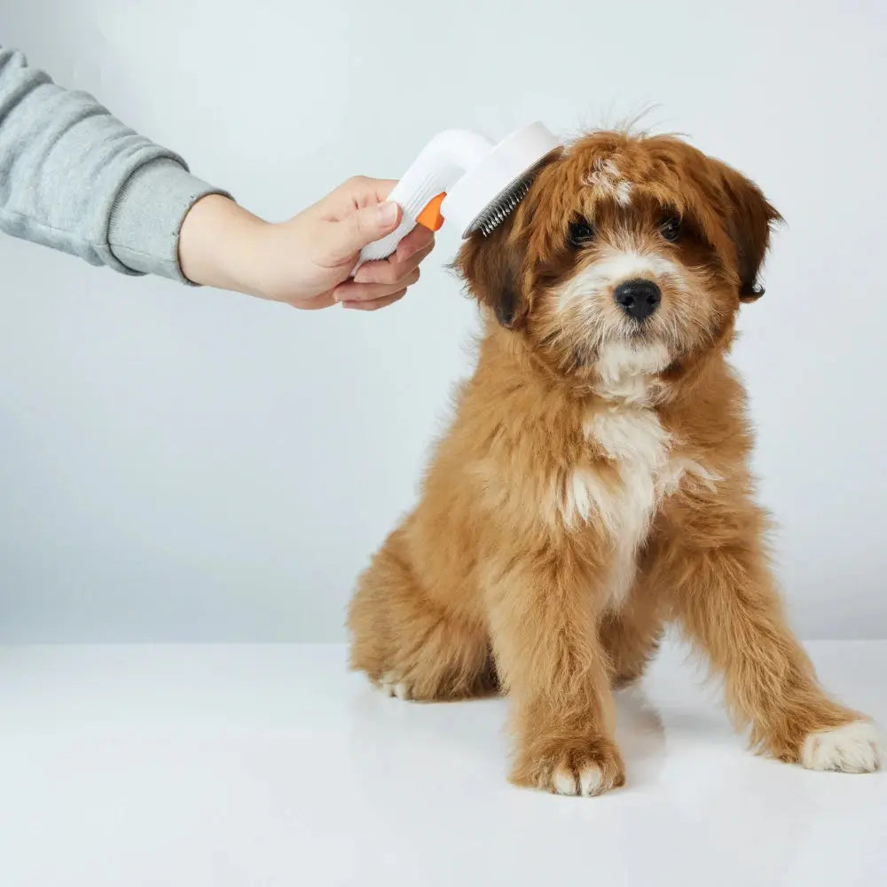 PETKIT Verzorgingsborstel honden en katten Mijn winkel