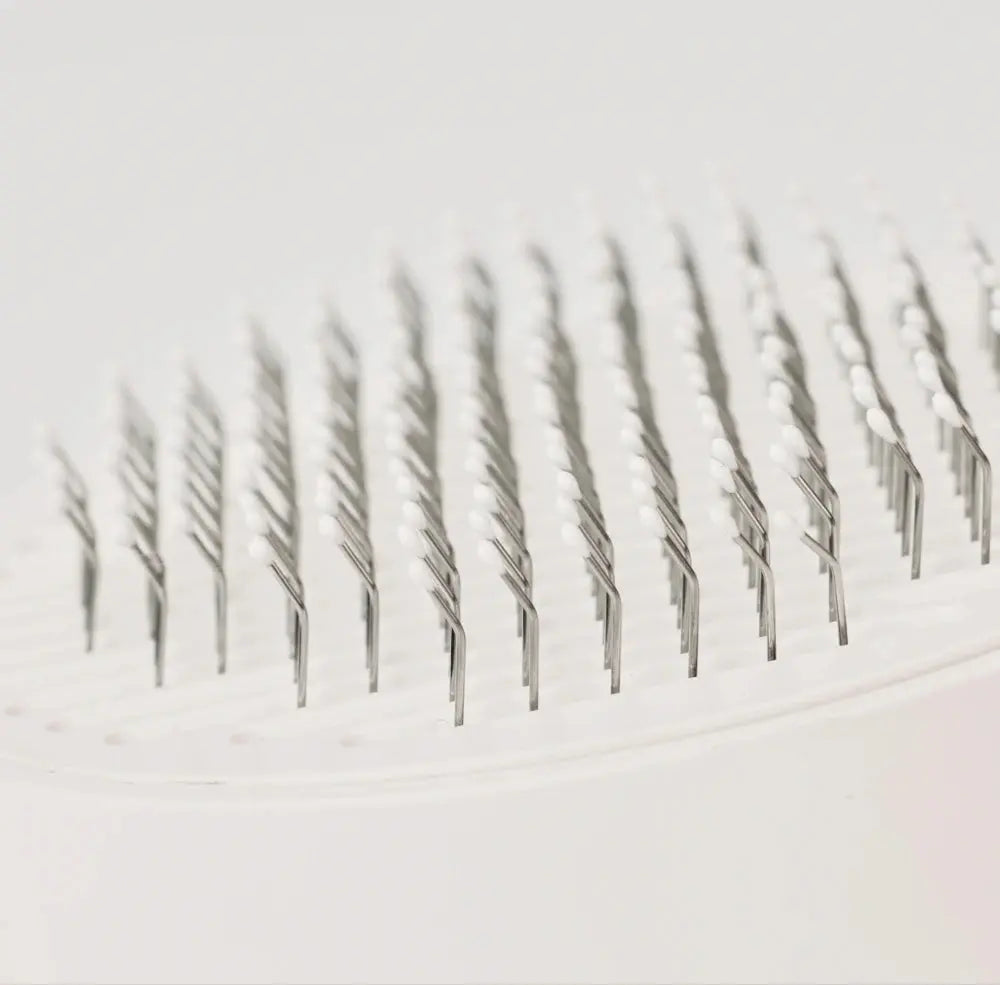 PETKIT Verzorgingsborstel honden en katten Mijn winkel