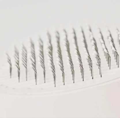 PETKIT Verzorgingsborstel honden en katten Mijn winkel