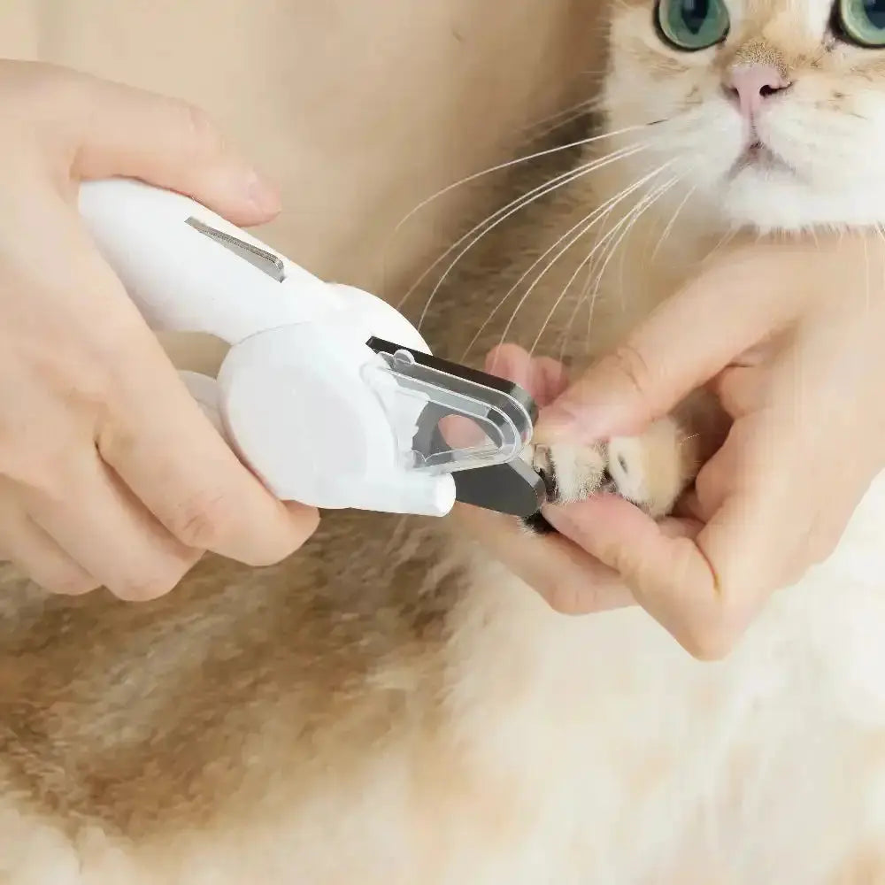 Kat krijgt nagels geknipt met een witte LED-nagelknipper.