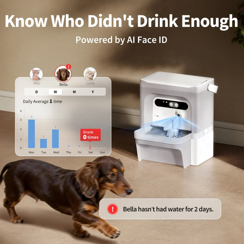 eversweet-ultra-multi-pet-data