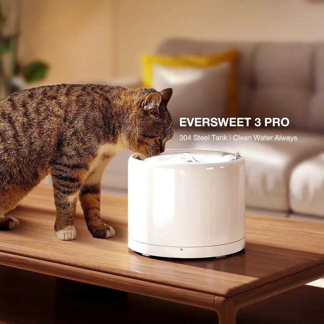 kat drinkt uit eversweet pro 3 petkit drinkfontein