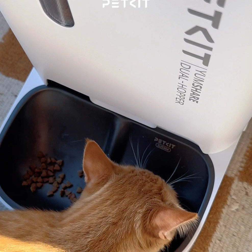 petkit yumshare dual