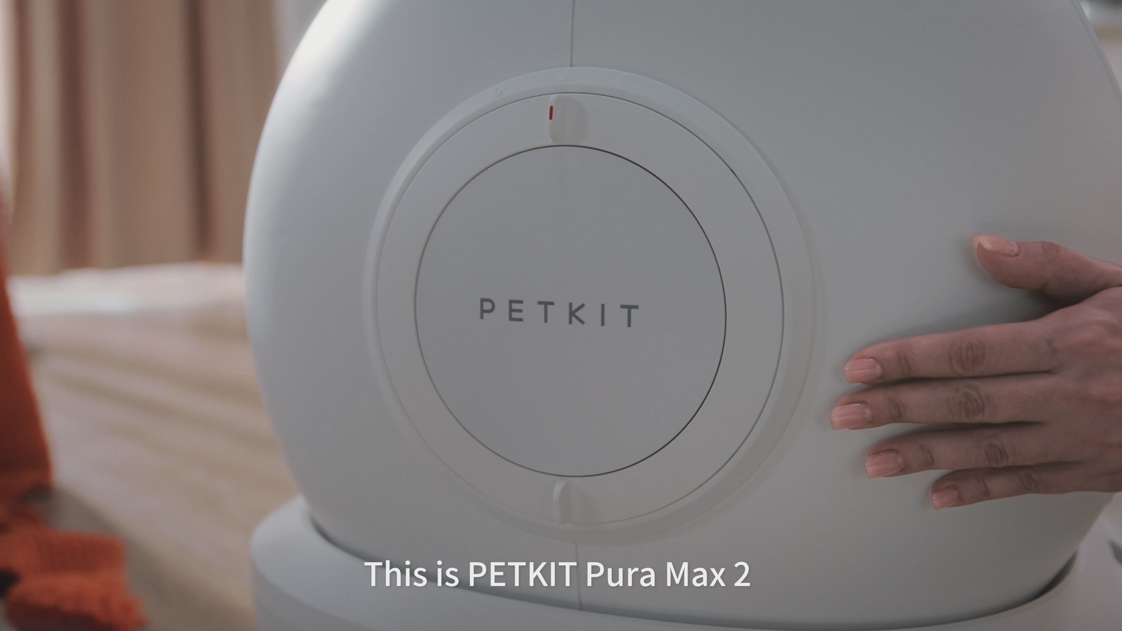 Video laden: cat jumps into a petkit pura max 2