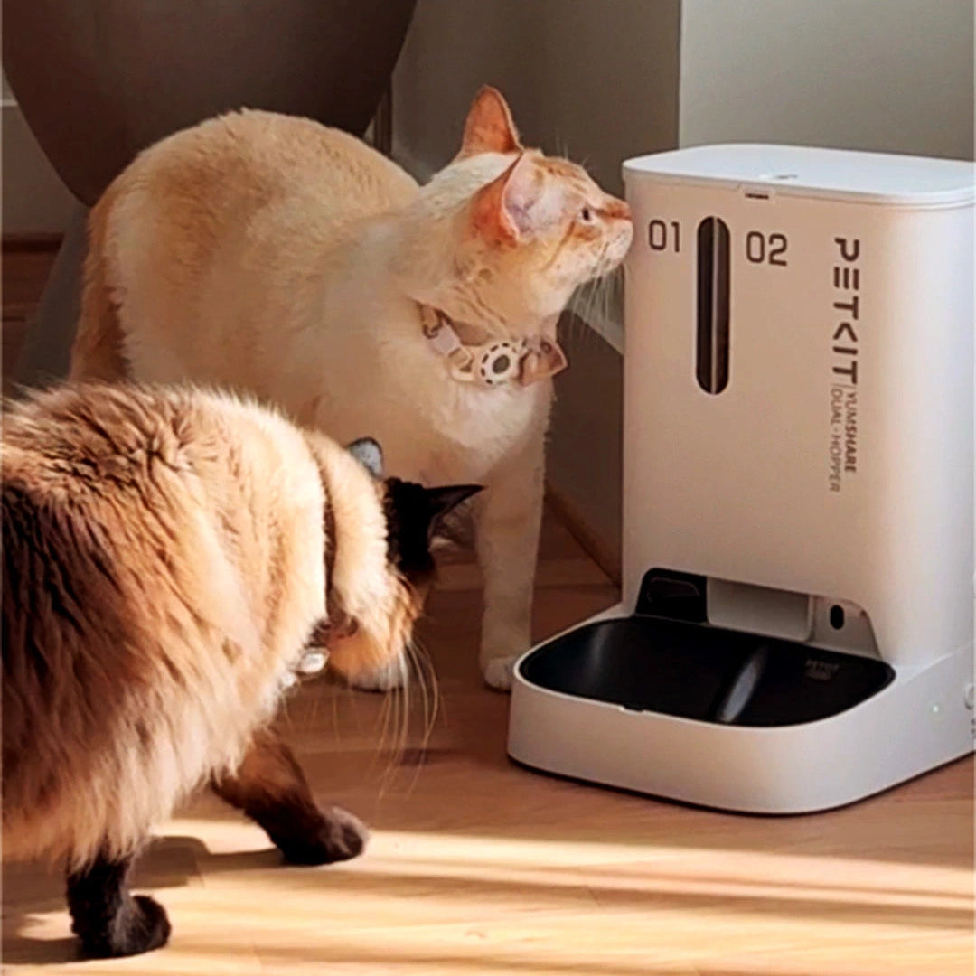 twee katten bij yumshare dual pektkit voerbak