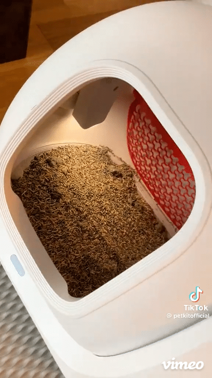 gif puramax 2 being cleaned 